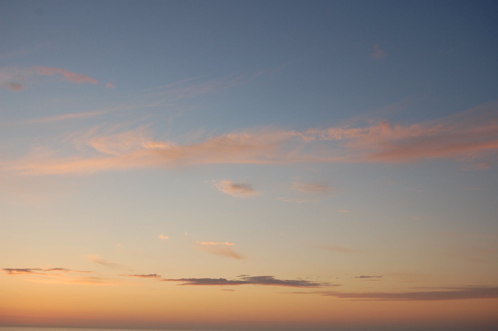[DSC_0353.JPG]