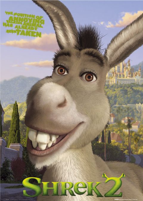 Picture Of Donkey