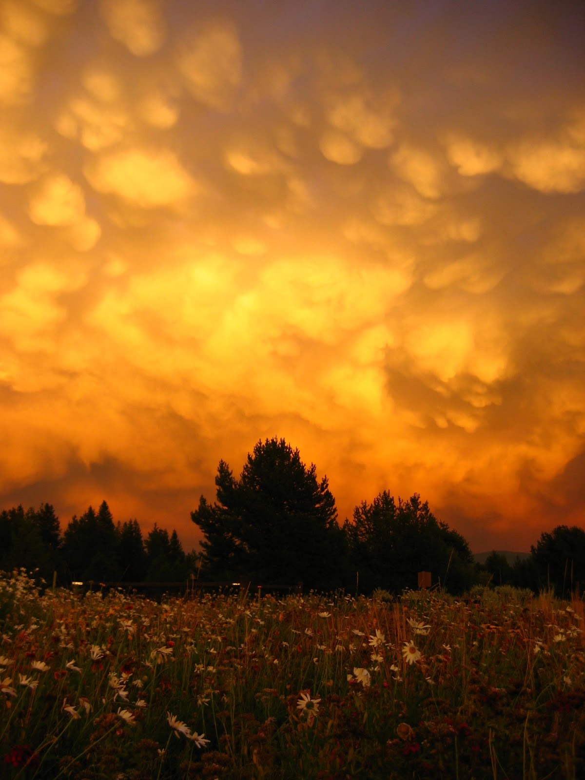 [Sunriver,+part+III,+thunderstorm,+lightning,+kids+006.jpg]