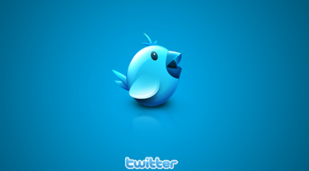 Twitter Bird by freakyframes