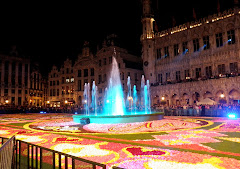 Sound and light show in front of the flower carpet
