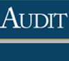 AUDIT
