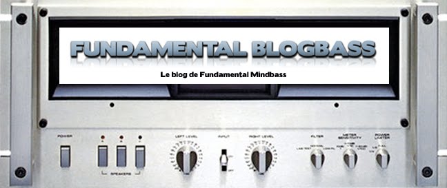 fundamental blogbass