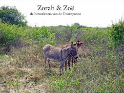 Zorah & Zoë