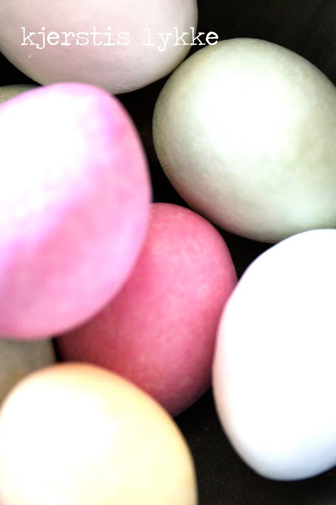 [egg1.jpg]