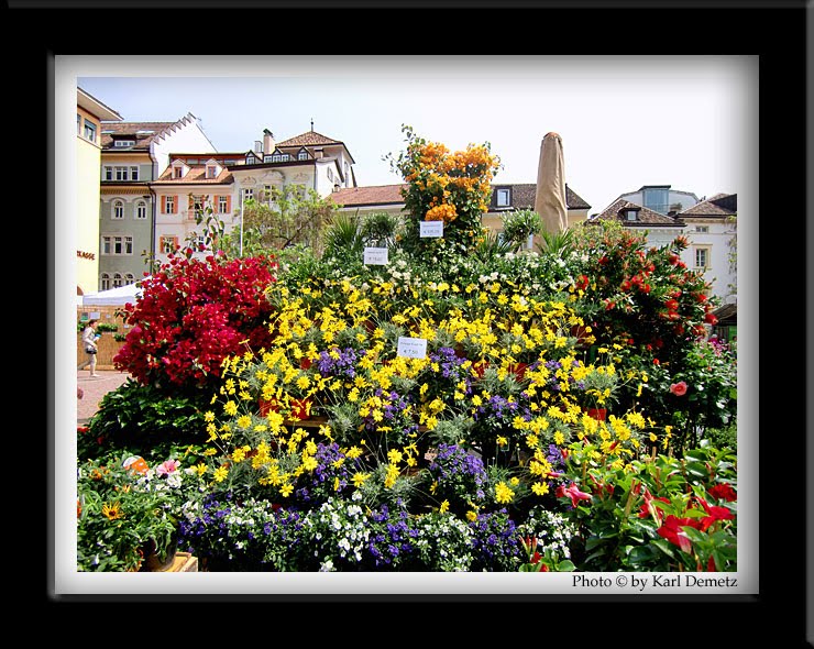 Gartenverbandelt Latest Snapshot Chan 53533071 Rssing Com