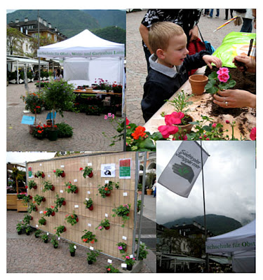 Offizielle Seite Der Sudtiroler Junggartner 2008