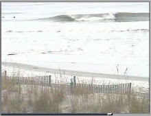 Charleston Crystal Ball Cam