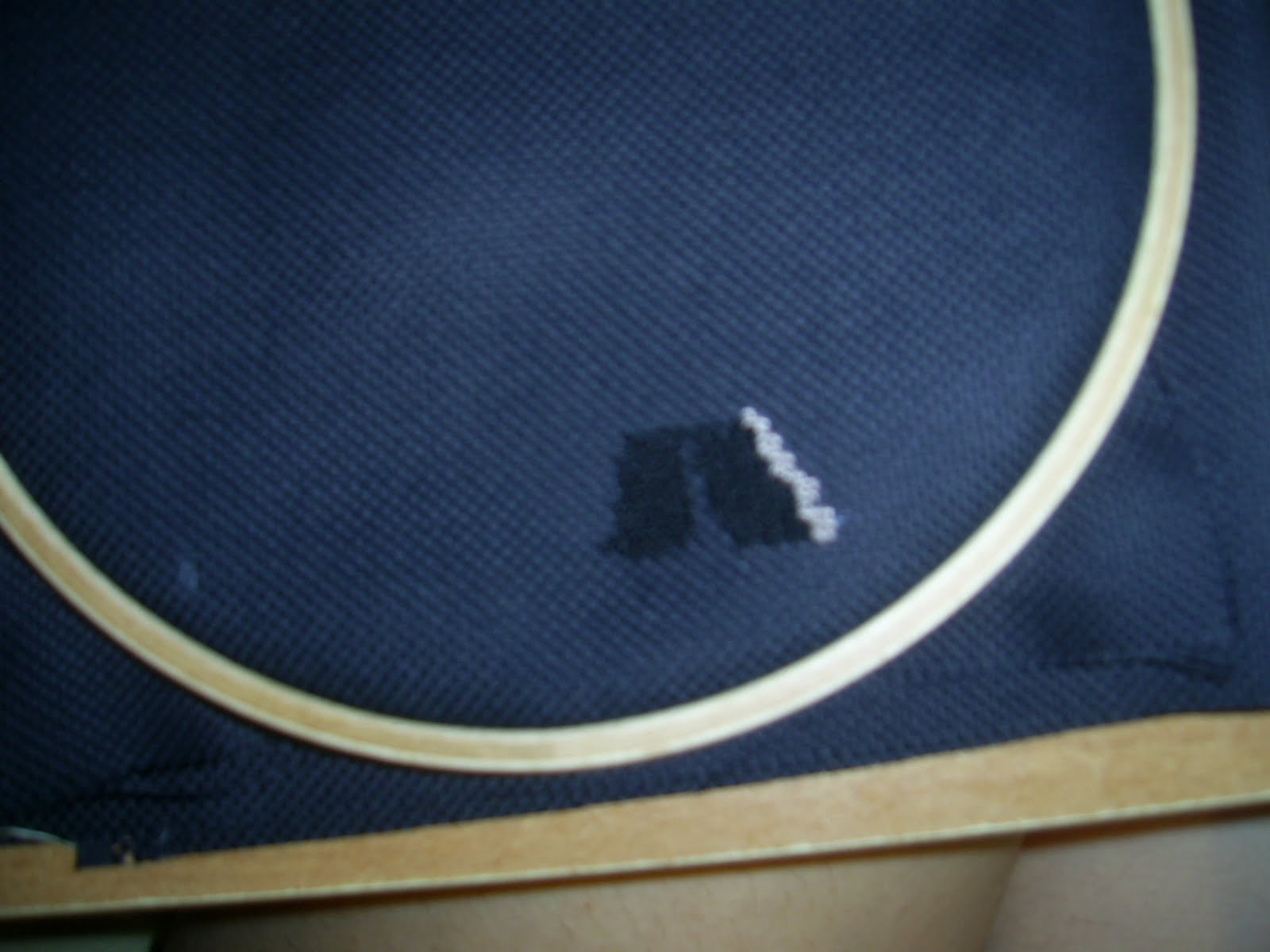 [PIC_00df04.JPG]