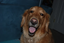 My Pet Ozzy