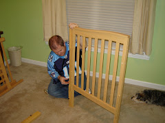 Nursery Pic 2