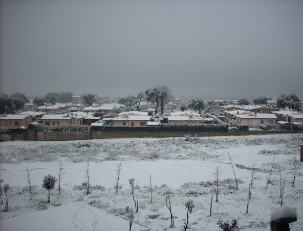 [Neve2.jpg]