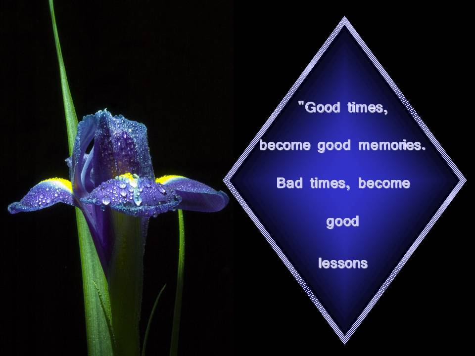 [Slide17-732804.JPG]