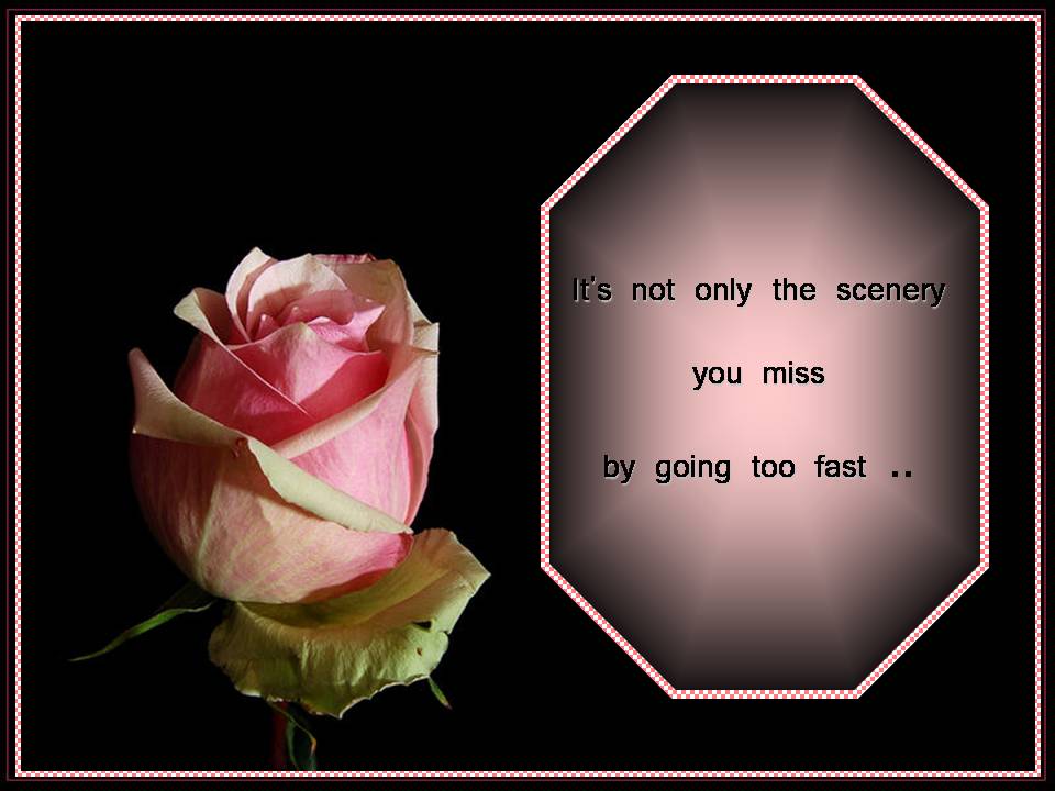 [Slide18-733168.JPG]