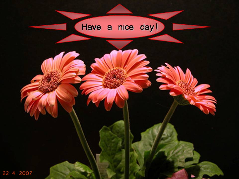 [Slide22-734190.JPG]