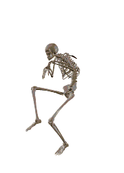 [Esqueleto.gif]