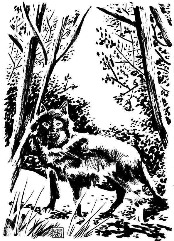 [VSBlog_S2+(176).jpg]