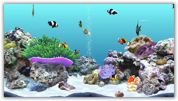 digifish aqua real 2 torrent