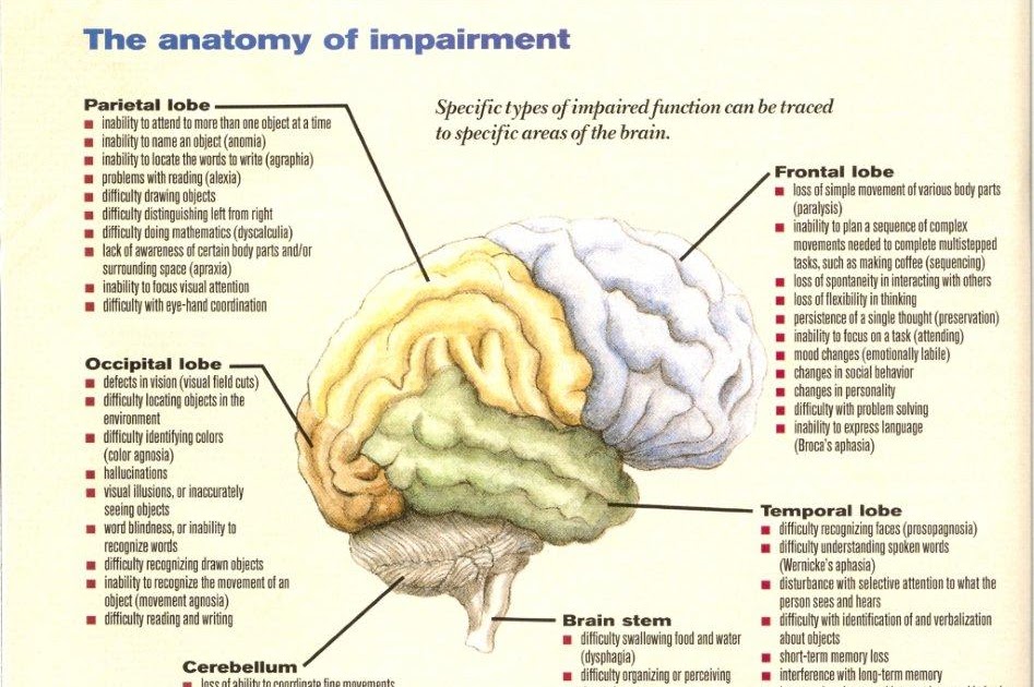 Damage of the brain mental processes and behavior
