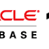 Auditar la robustez de contraseñas de Oracle 11g.