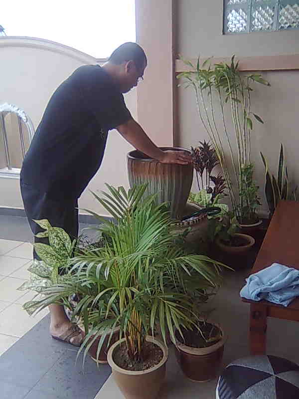 [Image182.jpg]