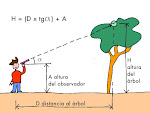 Medir la altura de un arbol sin subirse a el