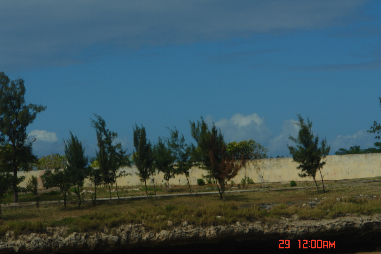 [DSC03937.JPG]