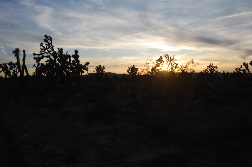 [DSC_0521.JPG]