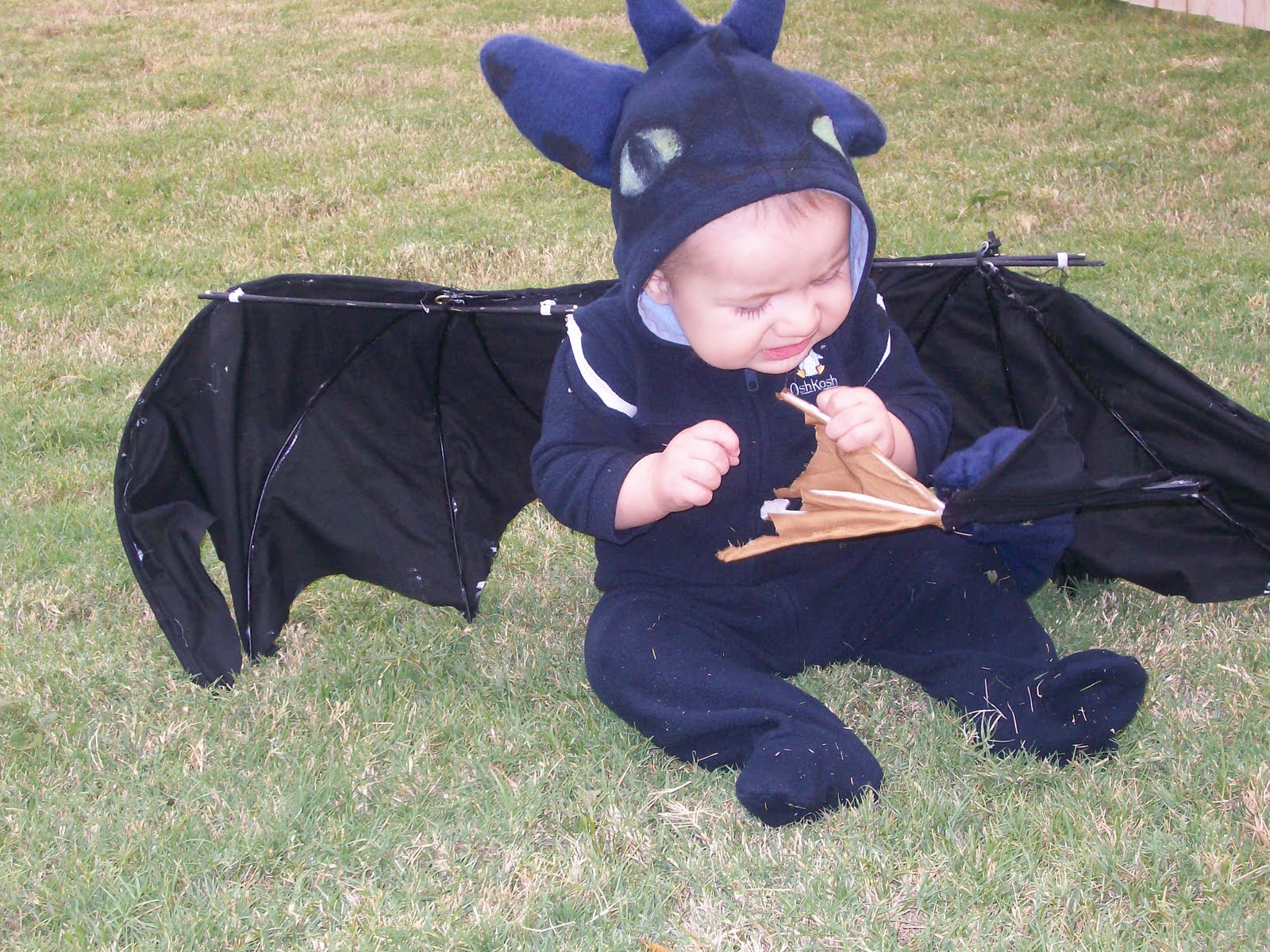 infant toothless costume