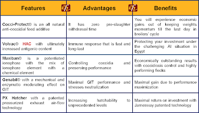 features and advantages of having a Smartphone technology is so successful that businesses and their employees have trouble imagining a day without the advantages of cellular phones in business. features and advantages of having a Smartphone technology is so successful that businesses and their employees have trouble imagining a day without the advantages of cellular phones in business.