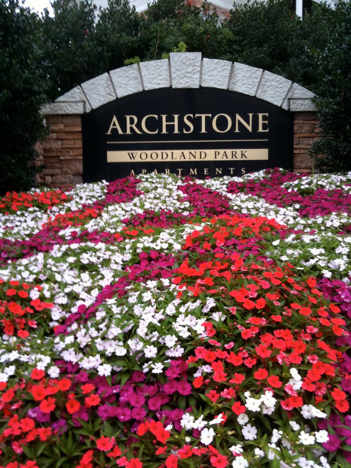 SunPatients in Full Sun