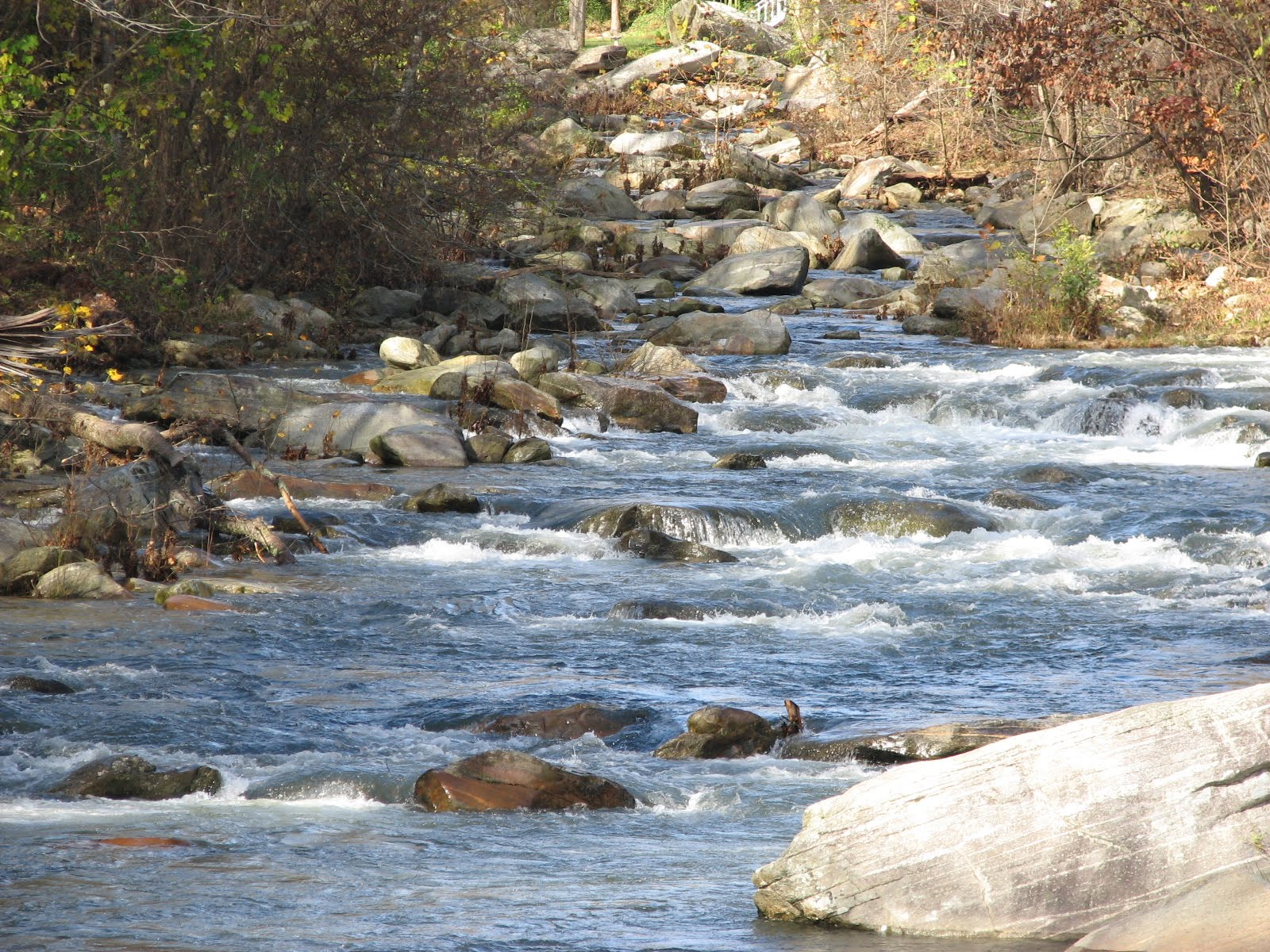 Mountain Creek Becky Eldredge