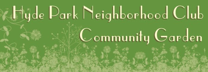 Hyde Park Neighborhood Club Community Garden