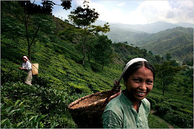 Asia, Darjeeling Travel, http://travelaroundtheasia.blogspot.com/, India