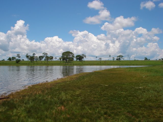 O GOSTO PELA PESCA.