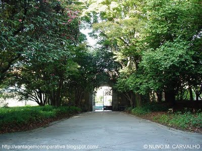 [1_JARDIM_DA_UNIVERSIDADE_DO_PORTO__PORTUGAL.JPG]