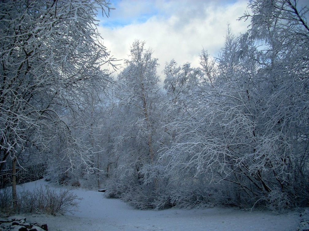 Progressive Alaska Late October First Snowfall