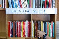 BIBLIOTECA DE AULA (BAM)