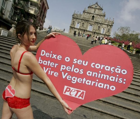 [peta.bmp]