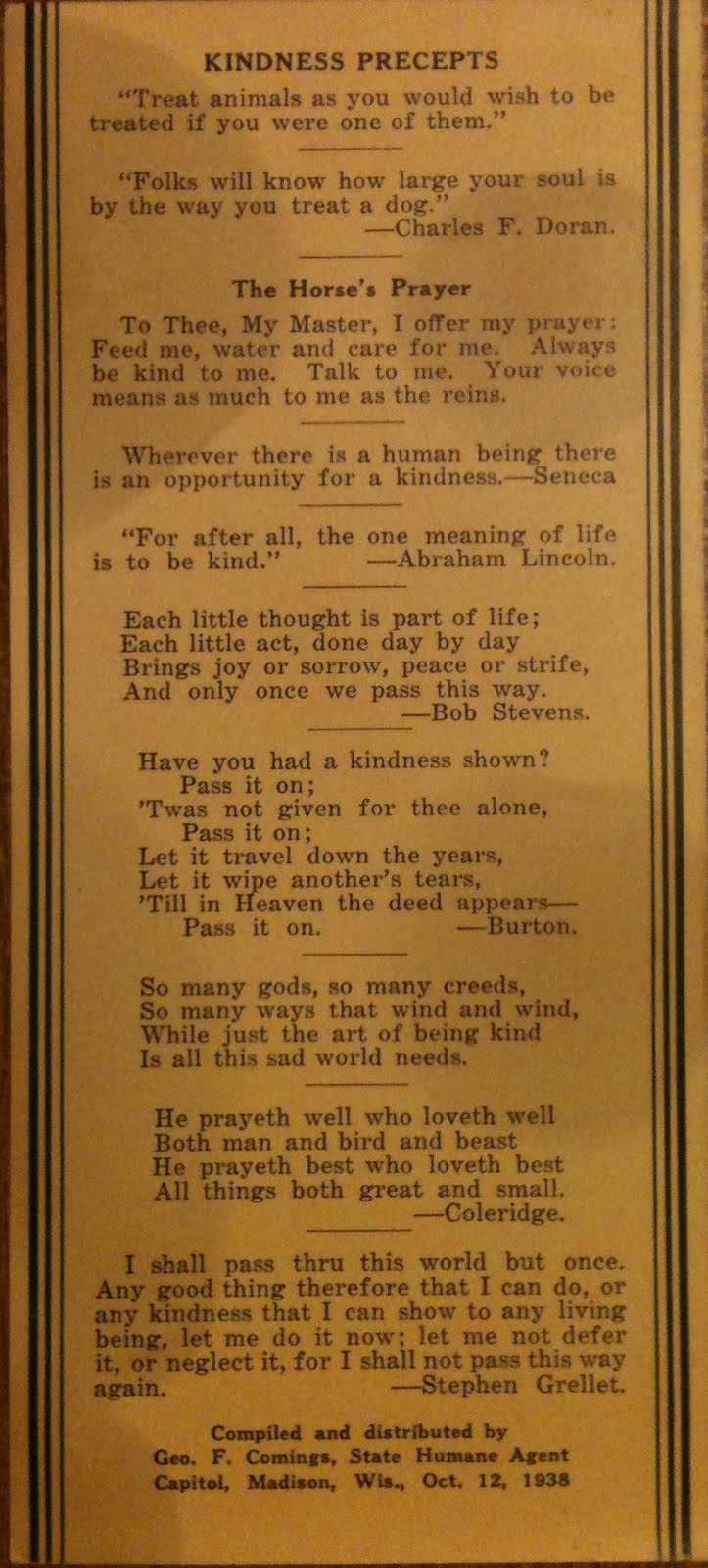 10 sentences about kindness to animals picture
