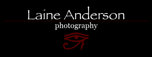 Laine Anderson\