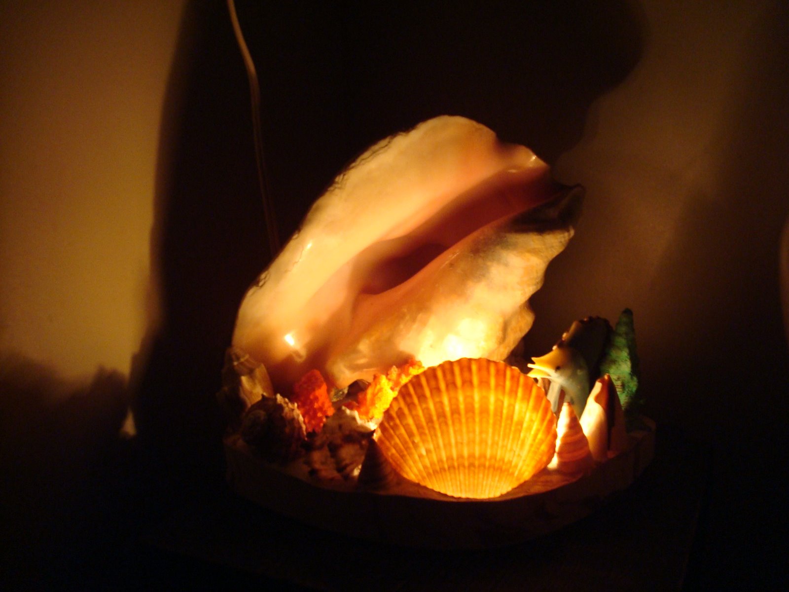 [DSC01595.JPG]