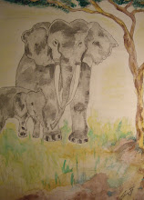 Elephant With Baby