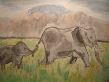 Elephant With Baby