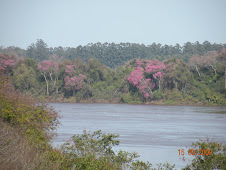 Postales del "Rincón"