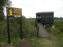 Nuevo Mirador de Aves