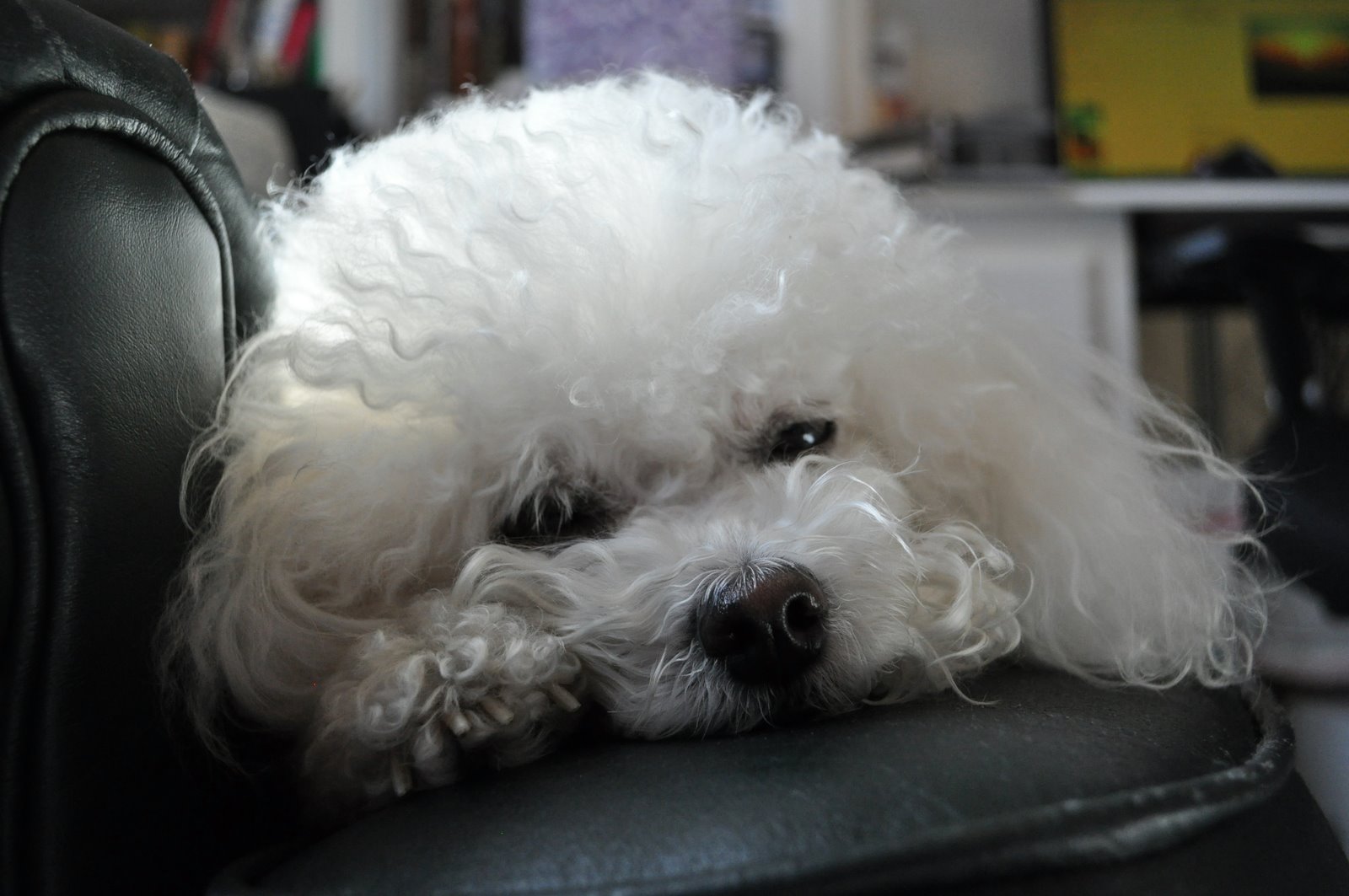 of much needed inventions.