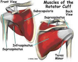 thoracic mobilization