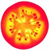 [tomatoe.bmp]