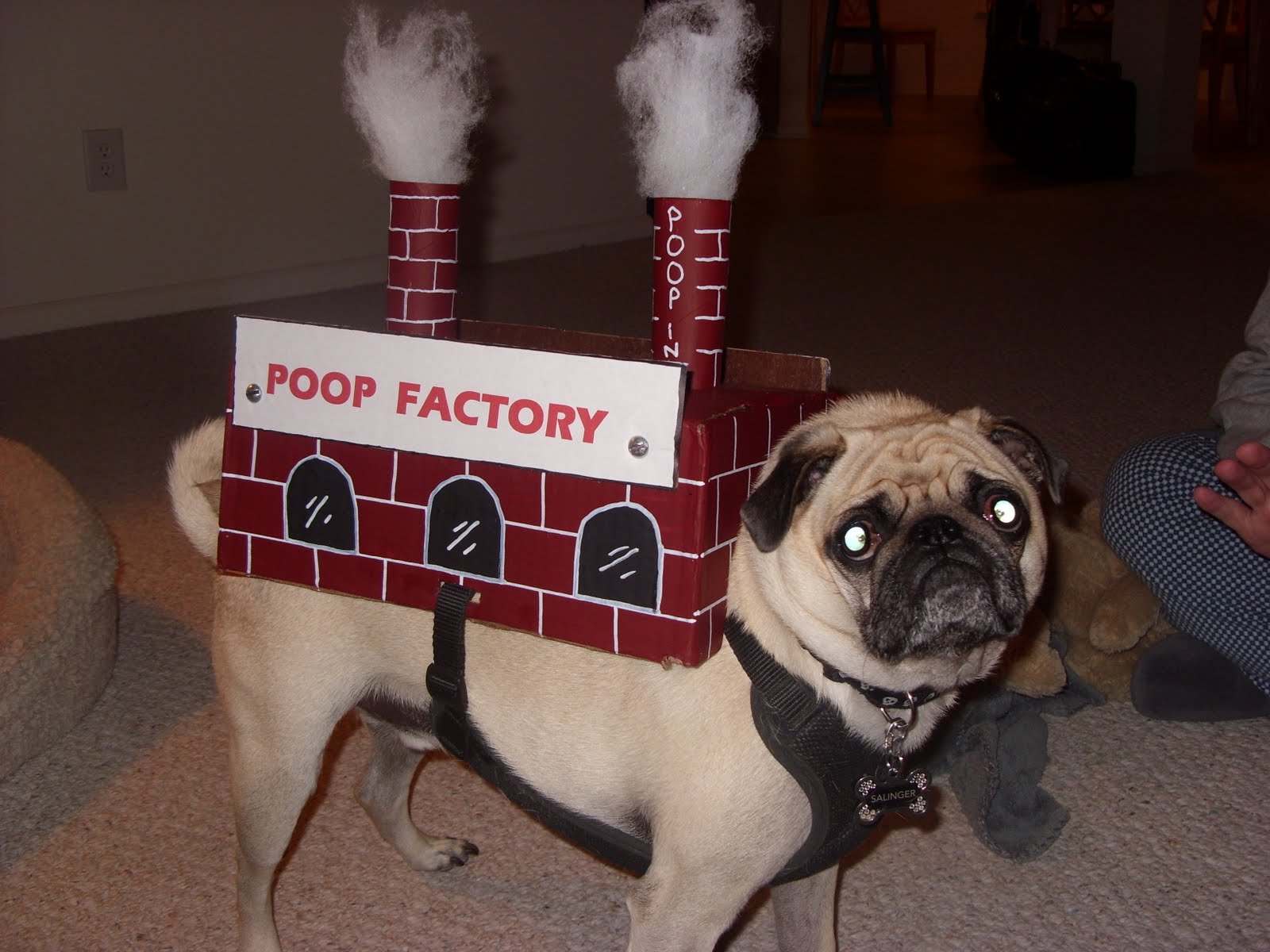 Pug Making Factory